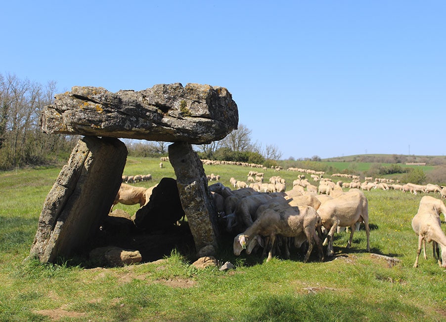 dolmen histoire terroir