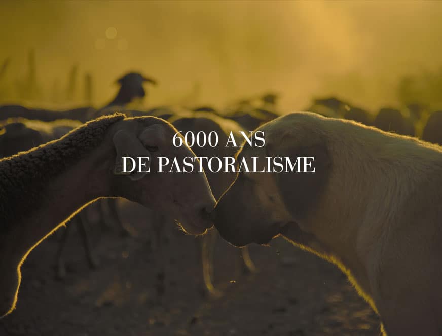 agropastoralisme local