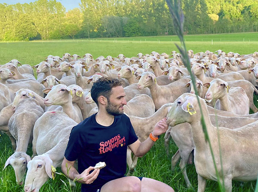 éleveur roquefort