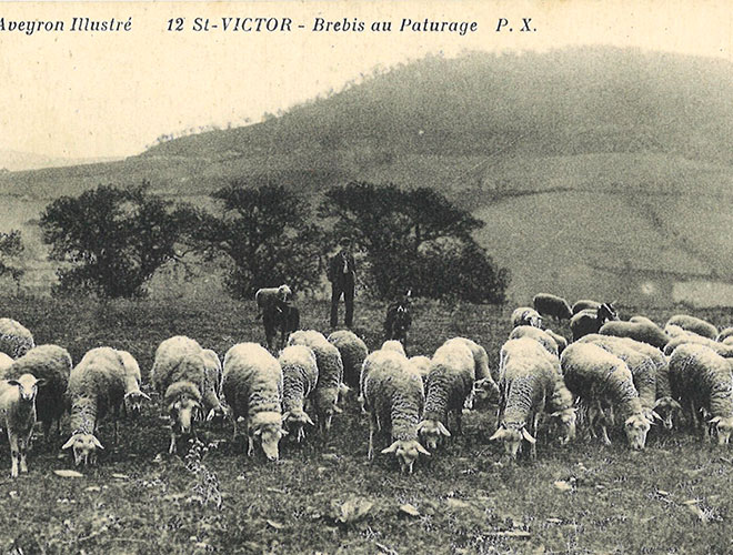 Le Roquefort AOP, l'excellence gastronomique française des caves naturelles  du Massif Central